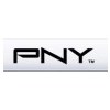 PNY PNY Nvidia Quadro NVS290 256Mb PCIe 1xDMS-59