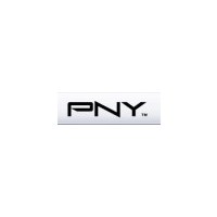 PNY PNY Nvidia Quadro FX-3450 PCI-E x16 256MB Dual DVI + TV-out