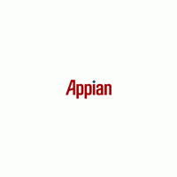 Appian Graphics 64MB Quad PCI